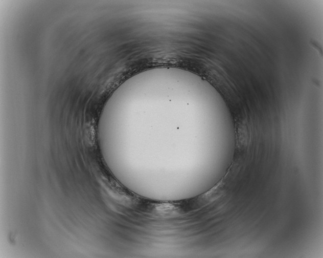 X0000102790183200809021122