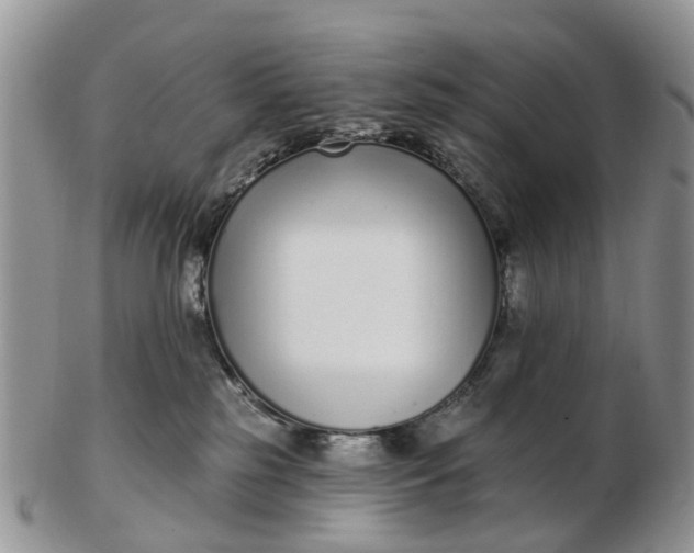 X0000102790185200809021122