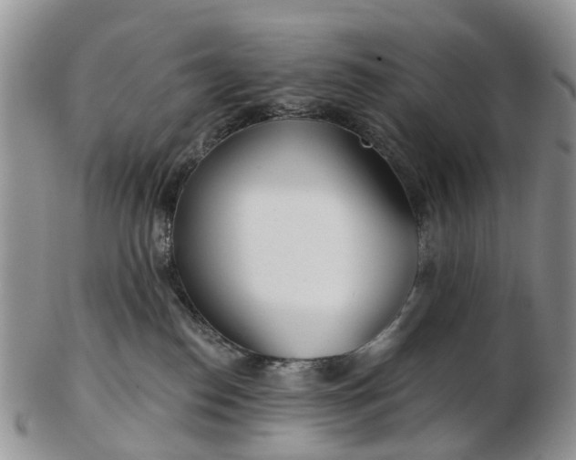 X0000102790186200809021122