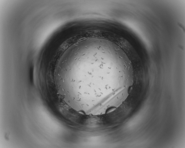 X0000102790189200809021122