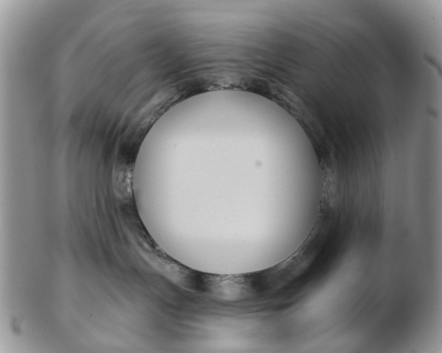 X0000102790191200809021122