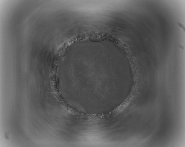 X0000102790192200809021122