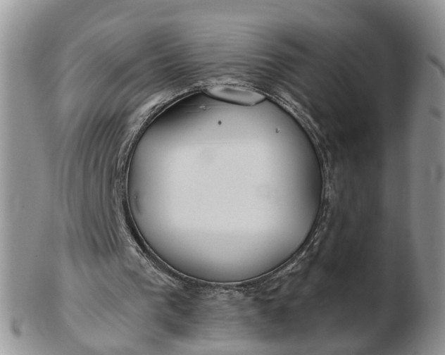 X0000102790193200809021122