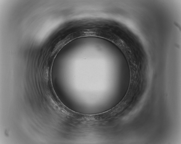 X0000102790194200809021122