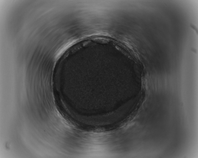 X0000102790196200809021122