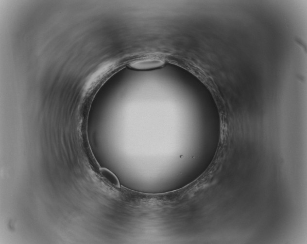 X0000102790197200809021122