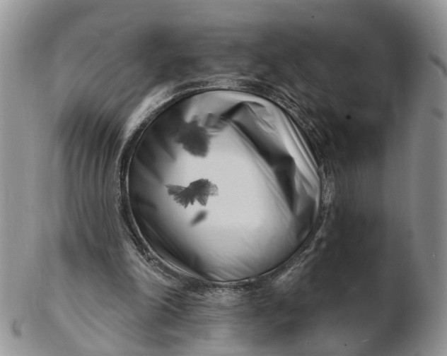 X0000102790198200809021121