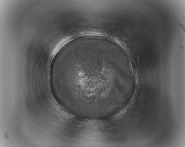 X0000102790199200809021121