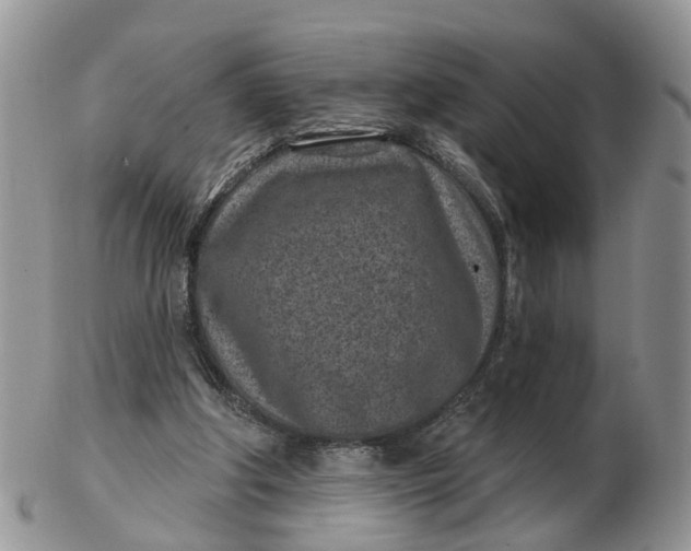 X0000102790202200809021121