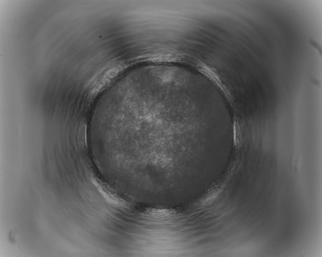 X0000102790205200809021121