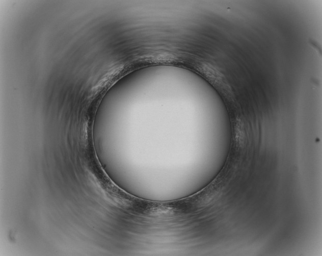 X0000102790206200809021121