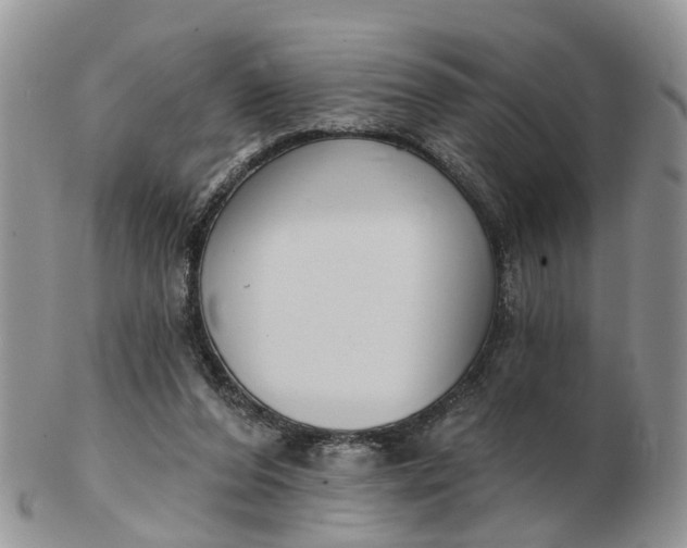 X0000102790208200809021121