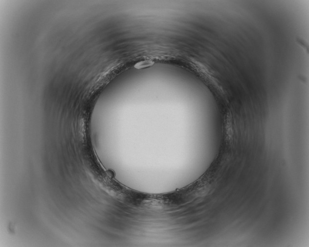 X0000102790211200809021121