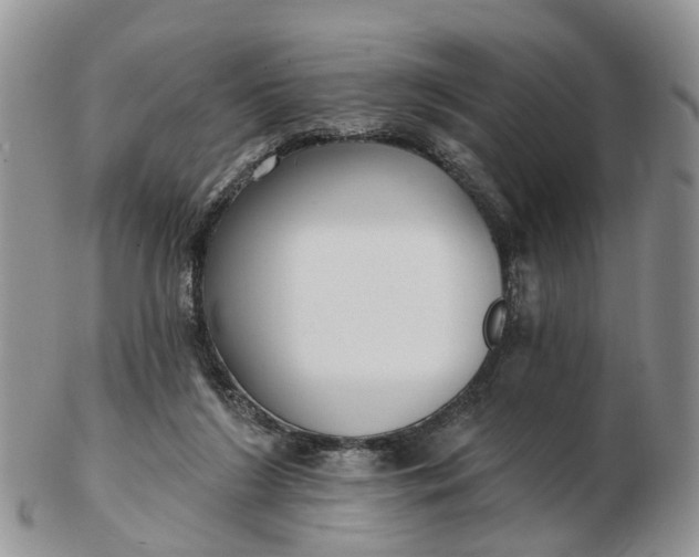 X0000102790212200809021121