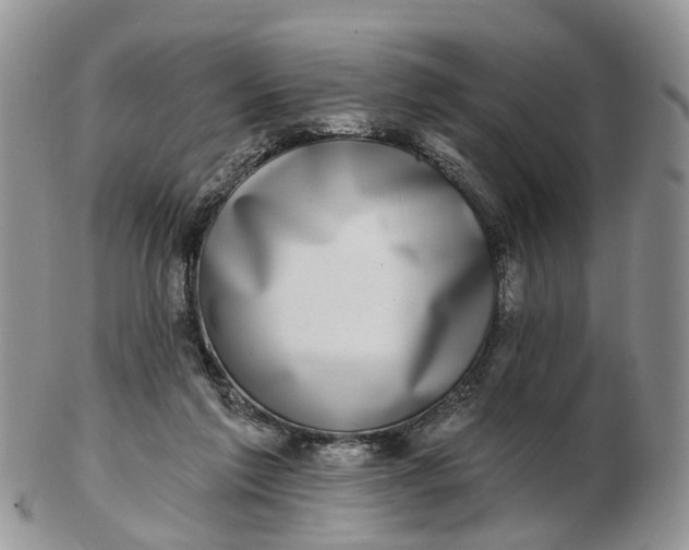 X0000102790213200809021121