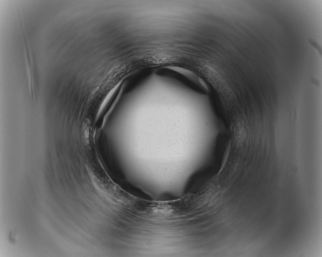 X0000102790214200809021121