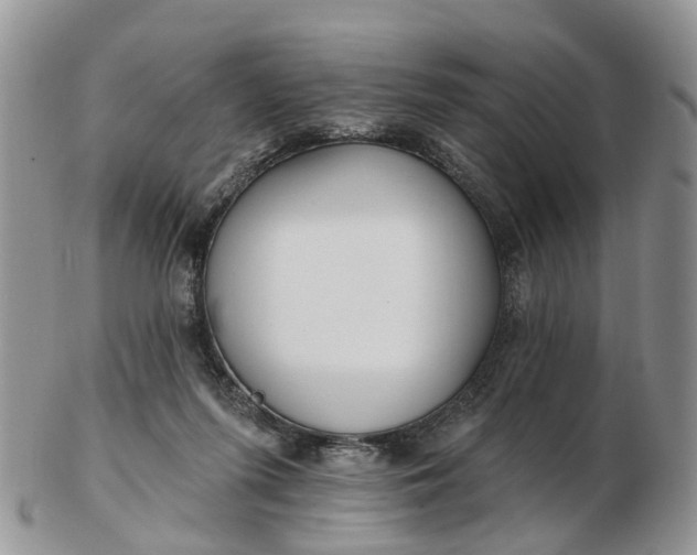 X0000102790215200809021121