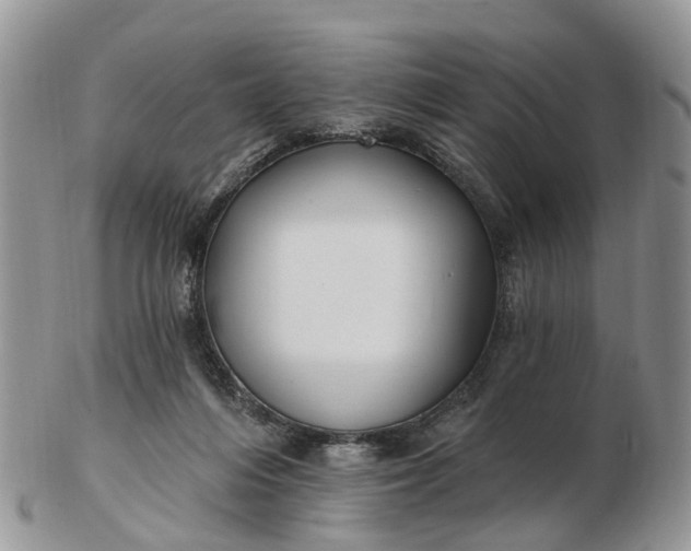 X0000102790216200809021121