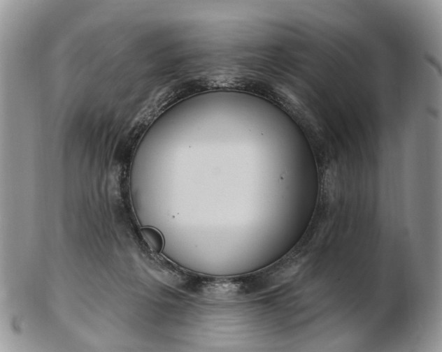 X0000102790217200809021121