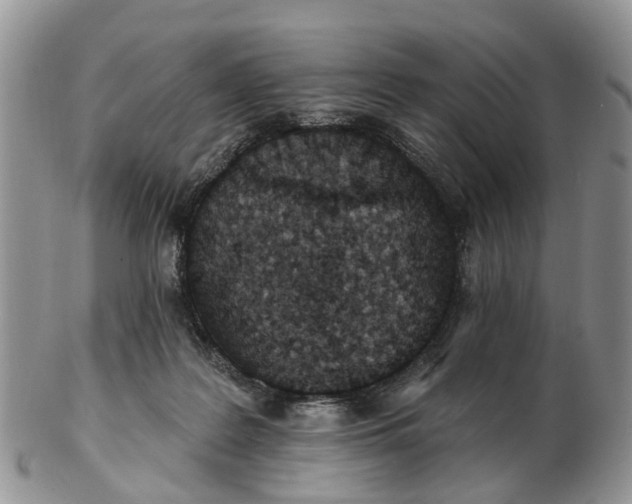 X0000102790219200809021121