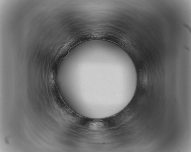 X0000102790220200809021121