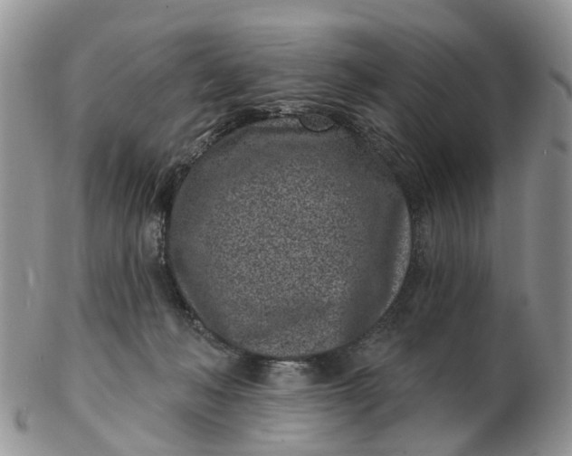 X0000102790222200809021121