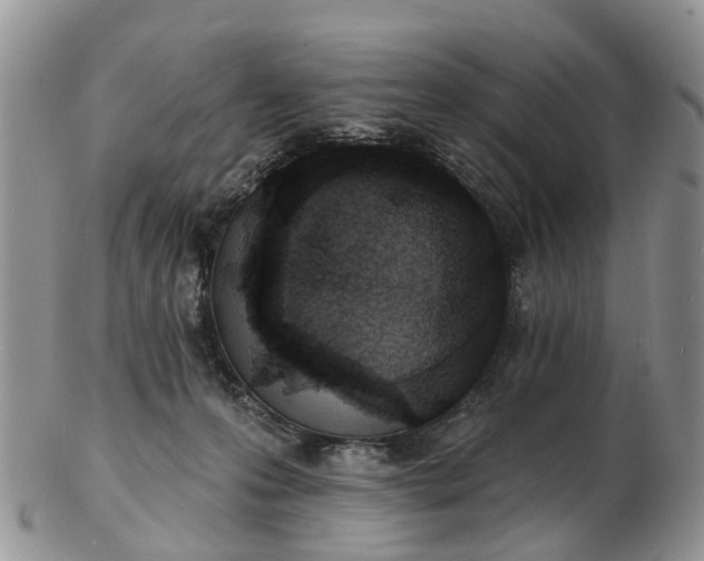 X0000102790223200809021121