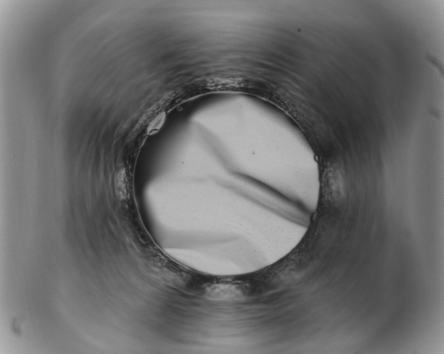 X0000102790224200809021121