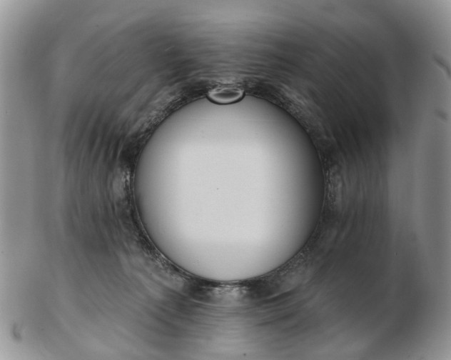 X0000102790225200809021121