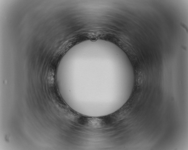 X0000102790226200809021121