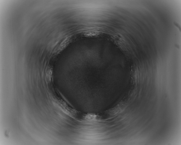 X0000102790227200809021121