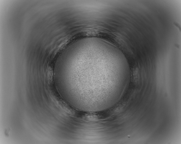 X0000102790228200809021121