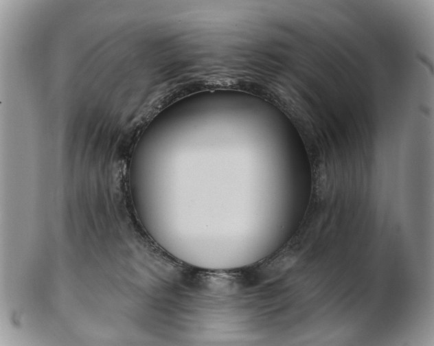 X0000102790229200809021121