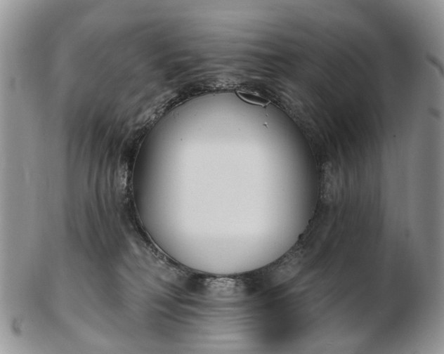 X0000102790230200809021121