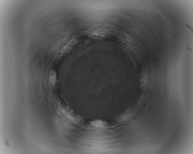 X0000102790231200809021121