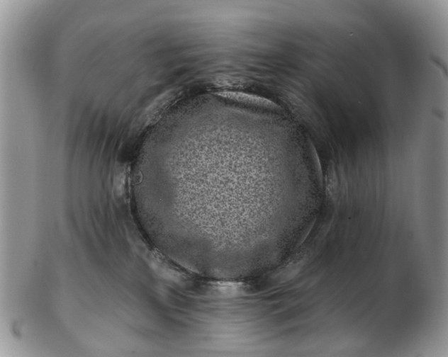 X0000102790233200809021121