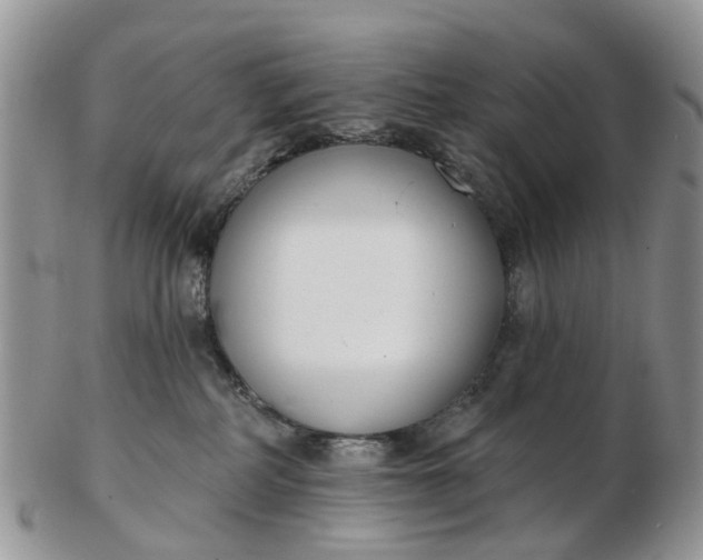 X0000102790234200809021121