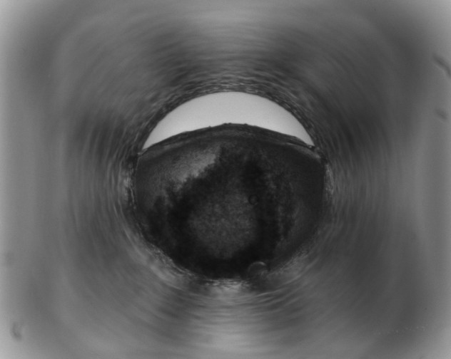 X0000102790235200809021121