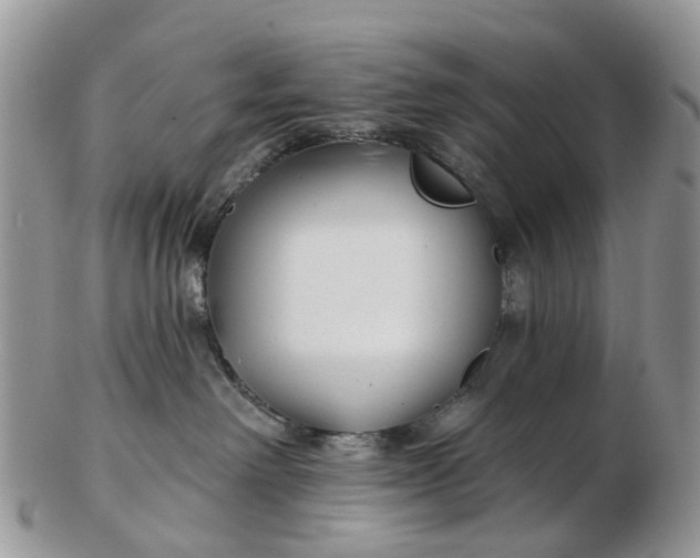 X0000102790238200809021121