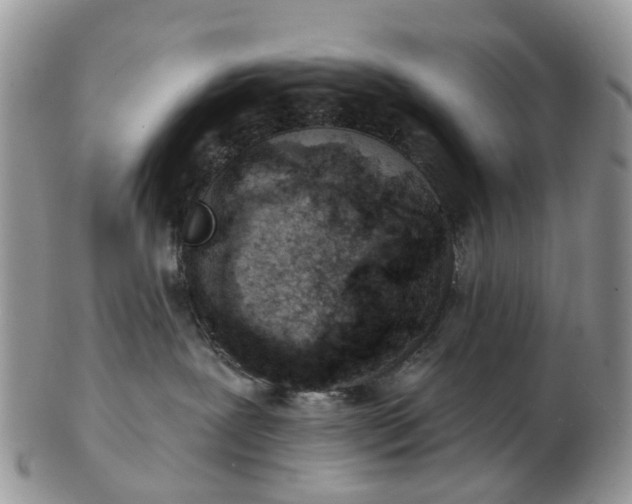 X0000102790239200809021121