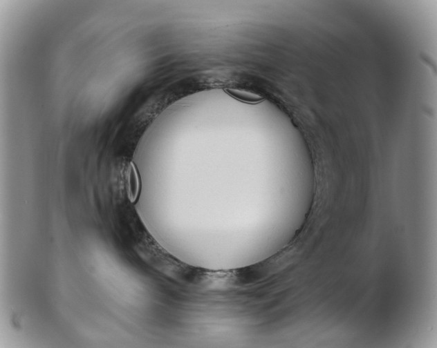 X0000102790240200809021121