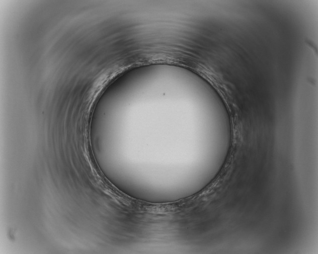 X0000102790241200809021120