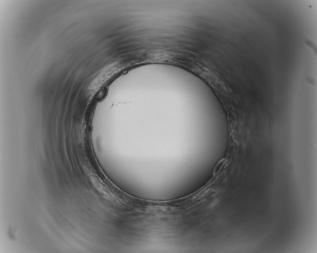 X0000102790242200809021120