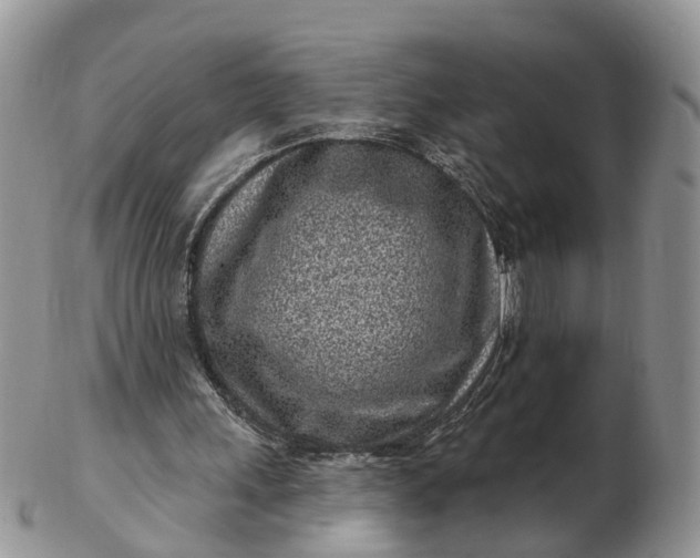 X0000102790243200809021120