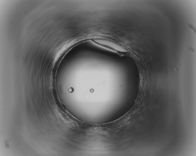 X0000102790244200809021120