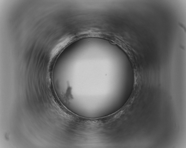 X0000102790245200809021120