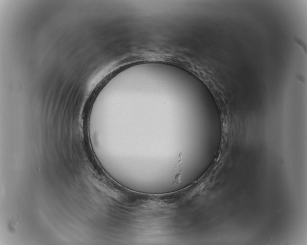 X0000102790246200809021120