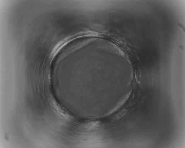 X0000102790247200809021120