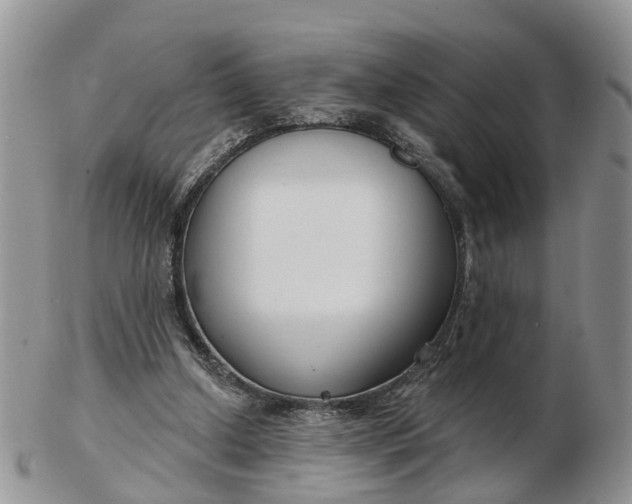 X0000102790250200809021120