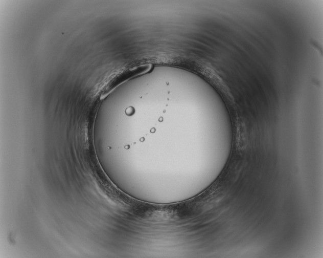 X0000102790251200809021120